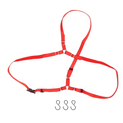 Dilwe Ersatzreifen -Gurtkit für Udr 1/10 RC -Autos y -geformtes Nylon -Fixierungsgurt mit Haken für Axial Scx10 Geeignet (Rot) von Dilwe