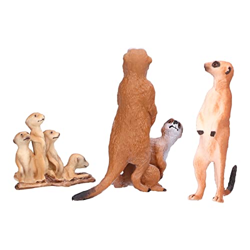Dilwe Meerkat -Modell, Lebensechte Meerkat -Figur Bildungsaufmerksamkeit Ergänzung Erdmodel Spielzeug für (3 Mongoosen (fest)) von Dilwe