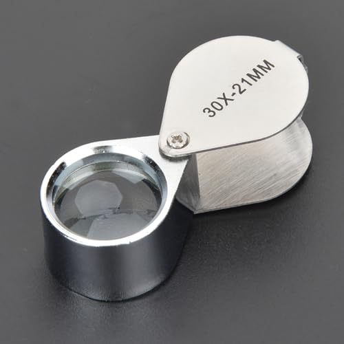 Dilwe Mini Folding Glas Lens Lens Jewelers Lupe, Ideal für Münzenstempel Antiquitäten, 10 -fache Vergrößerung, Edelstahlrahmen, Tragbar für das Reisen (Silver) von Dilwe