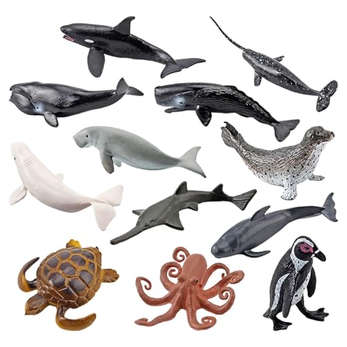Meerestierspielzeug – 12 Teile Miini Spielzeug für Meerestiere, realistische Meerestiere, lebensechte Meerestiere, Unterwassertier, Beluga Wal, Haie, Dolphin Octopus Meerestierspielzeug – 12 Teile Miini Spielzeug für Meerestiere, realistische Meerestiere, lebensechte Meerestiere, Unterwassertier, Beluga Wal, Haie, Dolphin Octopus von Dinchaakuarry