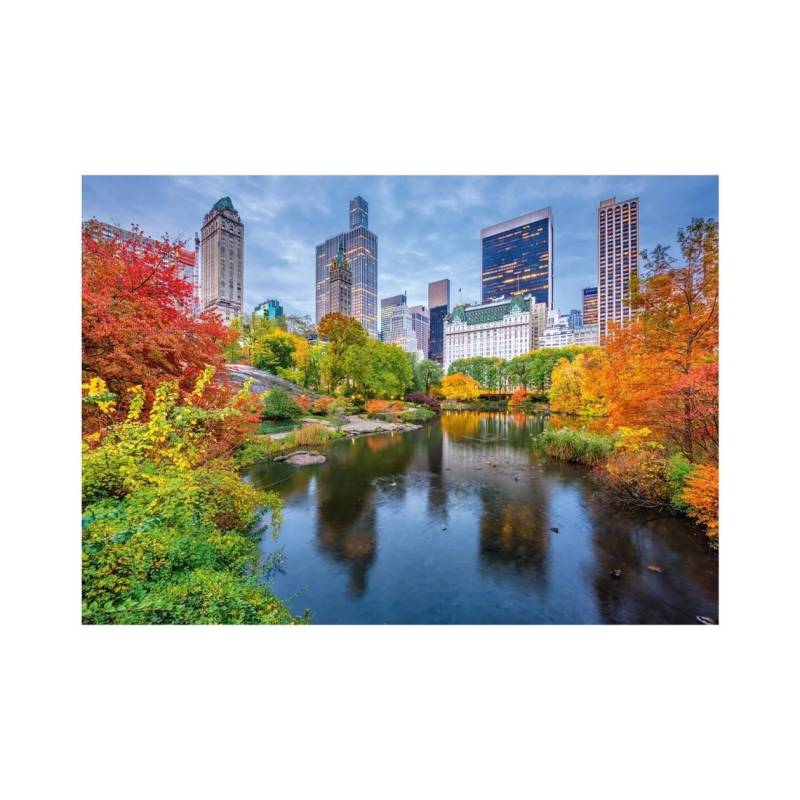 Dino Central Park 500 Teile Puzzle Dino-50298 von Dino