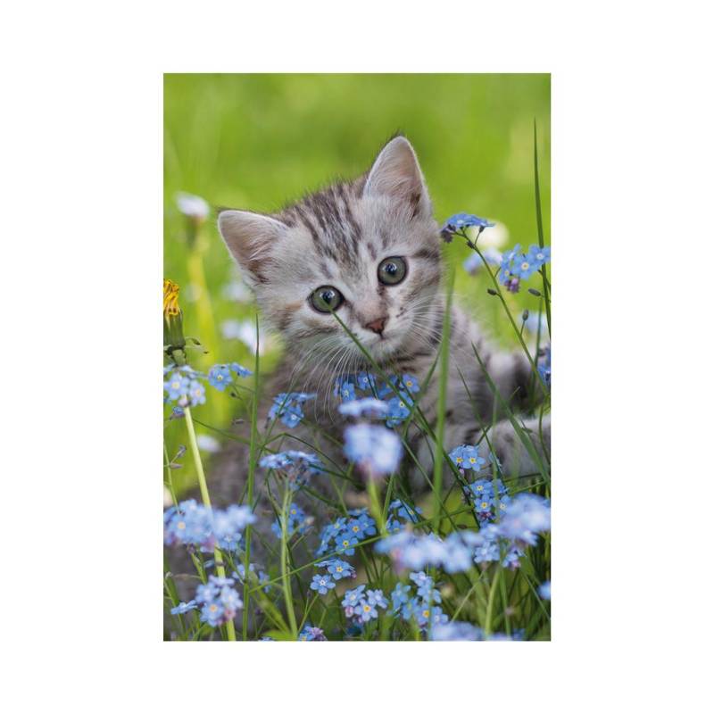 Dino Mini-puzzle Katze 54 Teile Puzzle Dino-33122-Chat von Dino