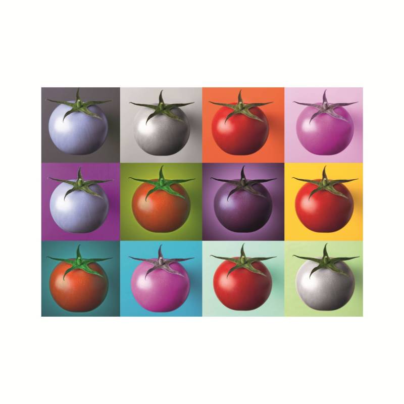 Dino Pop Art - Tomaten 1000 Teile Puzzle Dino-53296 von Dino