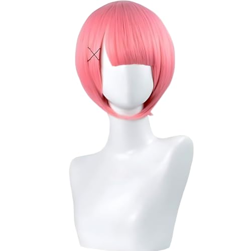 Diohauxi Rem Maid Cosplay Kostüm | Remu/Ramu Kleid Outfit Set mit Perücke | Rollenspiel Kostüm für Halloween Diohauxi Rem Maid Cosplay Kostüm | Remu/Ramu Kleid Outfit Set mit Perücke | Rollenspiel Kostüm für Halloween von Diohauxi