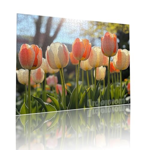 Blume Puzzle für Erwachsene Kinder Anspruchsvoll 1500 Teile Impossible Klassische Puzzles Schwer Anlage ab 8 9 10 Jahre Mädchen Jungen Jigsaw Kunst Educa, für Dekoration und Geschenke 57x87cm t-351 Blume Puzzle für Erwachsene Kinder Anspruchsvoll 1500 Teile Impossible Klassische Puzzles Schwer Anlage ab 8 9 10 Jahre Mädchen Jungen Jigsaw Kunst Educa, für Dekoration und Geschenke 57x87cm t-351 von Dirjuong
