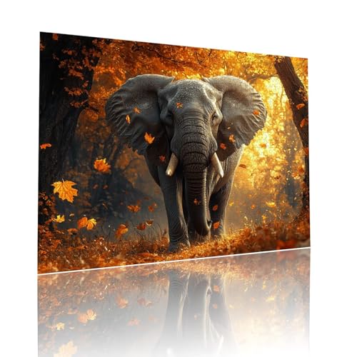 Puzzle Erwachsene 1000 Teile Elefant Tier Educa Jigsaw für Kinder ab 8 Jahren Mädchen Jungen, Erwachsene Impossible Klassische Puzzles Schwer, Anspruchsvoll Spielspaß, Als Geschenke 50x75cm t-66 Puzzle Erwachsene 1000 Teile Elefant Tier Educa Jigsaw für Kinder ab 8 Jahren Mädchen Jungen, Erwachsene Impossible Klassische Puzzles Schwer, Anspruchsvoll Spielspaß, Als Geschenke 50x75cm t-66 von Dirjuong
