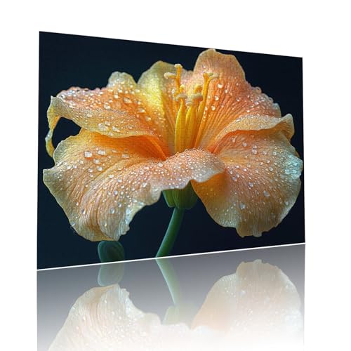Puzzle Erwachsene 2000 Teile Blume Anlage Educa Jigsaw für Kinder ab 8 Jahren Mädchen Jungen, Erwachsene Impossible Klassische Puzzles Schwer, Anspruchsvoll Spielspaß, Als Geschenke 70x99cm t-348 Puzzle Erwachsene 2000 Teile Blume Anlage Educa Jigsaw für Kinder ab 8 Jahren Mädchen Jungen, Erwachsene Impossible Klassische Puzzles Schwer, Anspruchsvoll Spielspaß, Als Geschenke 70x99cm t-348 von Dirjuong