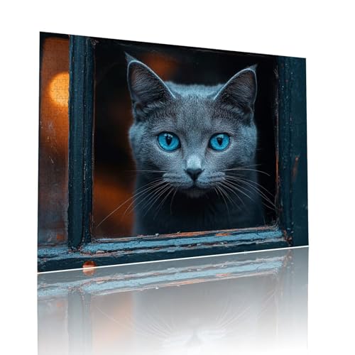 Puzzle Erwachsene 300 Teile Katze Haustier Educa Jigsaw für Kinder ab 8 Jahren Mädchen Jungen, Erwachsene Impossible Klassische Puzzles Schwer, Anspruchsvoll Spielspaß, Als Geschenke 38x52cm t-636 von Dirjuong