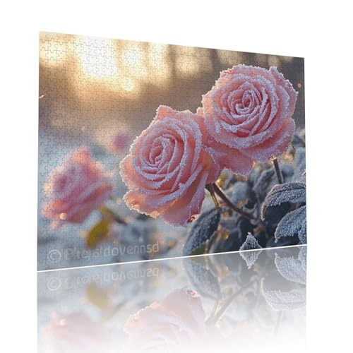 Puzzle Erwachsene 500 Teile Blume Rose Educa Jigsaw für Kinder ab 8 Jahren Mädchen Jungen, Erwachsene Impossible Klassische Puzzles Schwer, Anspruchsvoll Spielspaß, Als Familienspiel 38x52cm t-312 von Dirjuong