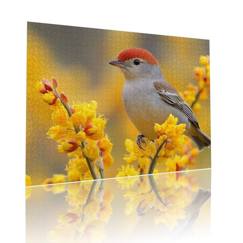 Vogel Puzzle für Erwachsene Kinder Anspruchsvoll 300 Teile Impossible Klassische Puzzles Schwer Blume ab 8 9 10 Jahre für Mädchen Jungen Jigsaw Kunst Educa, für Dekoration und Geschenke 38x52cm t-753 Vogel Puzzle für Erwachsene Kinder Anspruchsvoll 300 Teile Impossible Klassische Puzzles Schwer Blume ab 8 9 10 Jahre für Mädchen Jungen Jigsaw Kunst Educa, für Dekoration und Geschenke 38x52cm t-753 von Dirjuong