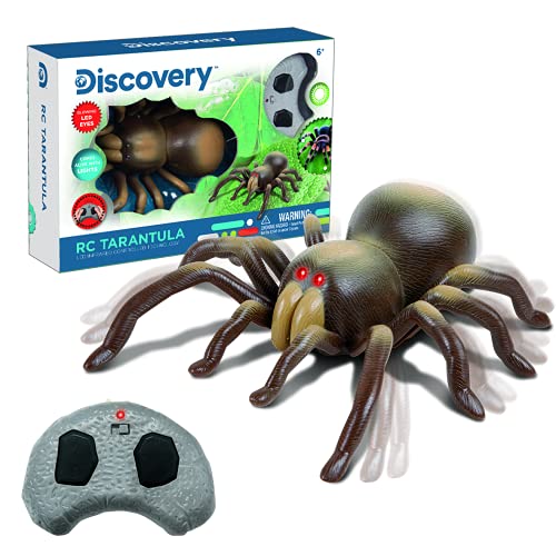 Discovery IR Ferngesteuerte Tarantel, RC, realistisches Tier, Spielzeug für Kinder 8 Jahre, Infrarot, ferngesteuert (World Brands 6000376) von Discovery Kids