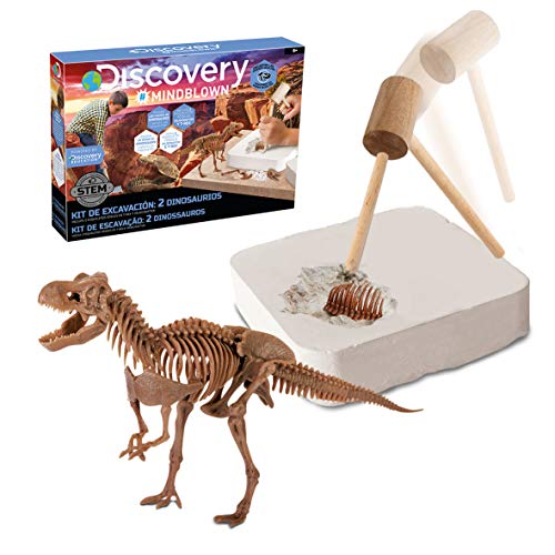 Discovery 6000445 Kit Graben (Entdeckung), Spielzeug, Spiel, Archäologie, Fossile Ausgrabungen, Skelette, Ausgraben von Dinosauriern, one Size von Discovery