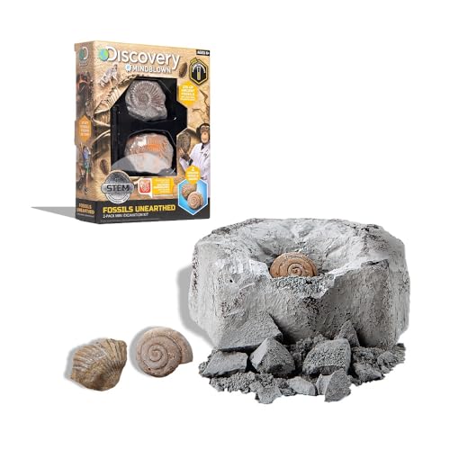 Discovery #Mindblown 1423004771 - Fossils Unearthed - Ausgrabungsset Fossilien - für Kinder ab 6 Jahren von Discovery