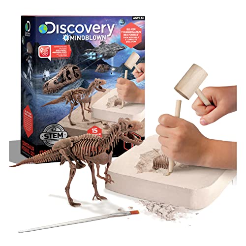 Discovery #Mindblwon 1423004871 - Dinosaur Fossil Dig T-Rex - Ausgrabungsset Dinosaurier- für Kinder ab 6 Jahren von Discovery