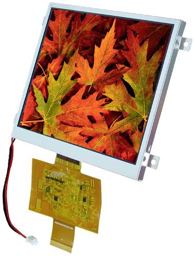 Display Elektronik Grafik-Display Weiß 320 x 240 Pixel (B x H x T) 141.12 x 101.55 x 6.5mm von Display Elektronik