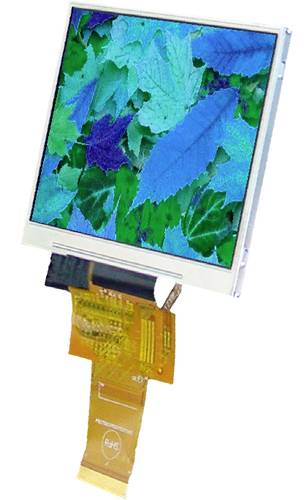 Display Elektronik Grafik-Display Weiß 320 x 240 Pixel (B x H x T) 76.90 x 63.90 x 3.26mm von Display Elektronik