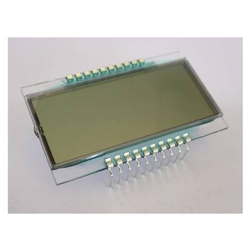 Display Elektronik LCD-Display DE161TS-20/7.5(3) von Display Elektronik