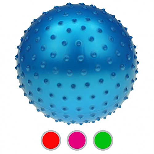 Diverse 48 x Noppenbälle Noppenball Ball 20 cm Massagebälle Igelball mit Pumpe von Diverse