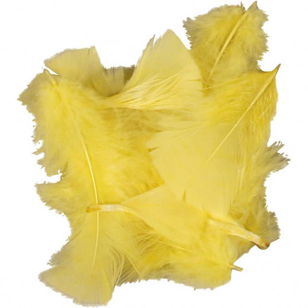 Federn, Größe 7-8cm, 50g, Gelb von Diverse