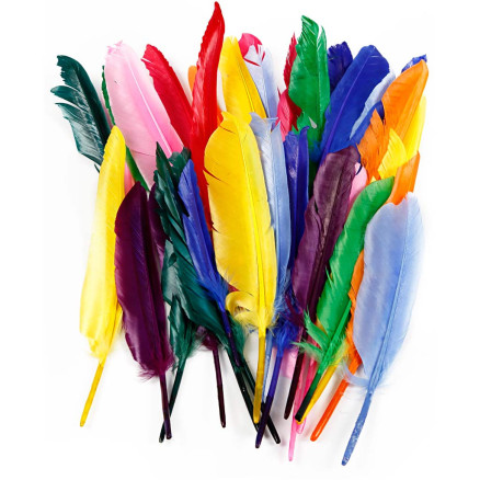 Federn, L 17-20 cm, 250 Stk/ 1 Pck Federn, L 17-20 cm, 250 Stk/ 1 Pck von Diverse