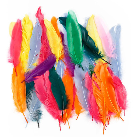 Federn, L 12-15 cm, Sortierte Farben, 350 Stk/ 1 Pck Federn, L 12-15 cm, Sortierte Farben, 350 Stk/ 1 Pck von Diverse