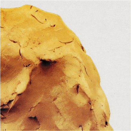 Selbsthärtender Ton, Ockergelb, 12x1000 g/ 1 Pck Selbsthärtender Ton, Ockergelb, 12x1000 g/ 1 Pck von Diverse