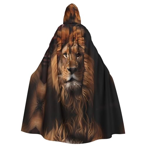 DngSer The Lion's Gaze Kapuzenumhang für Erwachsene - Ideal für Cosplay, Weihnachten, Bühnenkostüme, Maskerade, Halloween, Ostern Karneval von DngSer