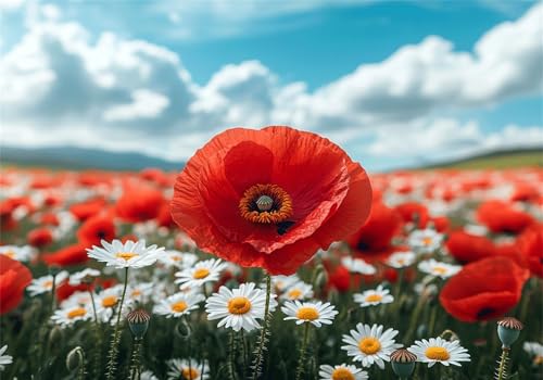 Puzzle 1000 Teile Erwachsene Blume 75x50cm,1000pcs Klassische Puzzles Landschaft Anspruchsvoll Jigsaw Spielzeug Puzzlespiel Impossible Holzpuzzle Geeignet für alle Altersgruppen Geschenk P-720 Puzzle 1000 Teile Erwachsene Blume 75x50cm,1000pcs Klassische Puzzles Landschaft Anspruchsvoll Jigsaw Spielzeug Puzzlespiel Impossible Holzpuzzle Geeignet für alle Altersgruppen Geschenk P-720 von Dnnufagg