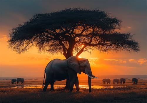 Puzzle 2000 Teile Erwachsene Afrika 100x70cm,2000pcs Klassische Puzzles Elefant Anspruchsvoll Jigsaw Spielzeug Puzzlespiel Impossible Holzpuzzle Geeignet für Kinder ab 14 Jahren Geschenk P-170 Puzzle 2000 Teile Erwachsene Afrika 100x70cm,2000pcs Klassische Puzzles Elefant Anspruchsvoll Jigsaw Spielzeug Puzzlespiel Impossible Holzpuzzle Geeignet für Kinder ab 14 Jahren Geschenk P-170 von Dnnufagg