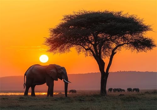 Puzzle 2000 Teile Erwachsene Sonnenuntergang 100x70cm,2000pcs Klassische Puzzles Elefant Anspruchsvoll Jigsaw Spielzeug Puzzlespiel Impossible Holzpuzzle Geeignet für alle Altersgruppen Geschenk P-171 Puzzle 2000 Teile Erwachsene Sonnenuntergang 100x70cm,2000pcs Klassische Puzzles Elefant Anspruchsvoll Jigsaw Spielzeug Puzzlespiel Impossible Holzpuzzle Geeignet für alle Altersgruppen Geschenk P-171 von Dnnufagg