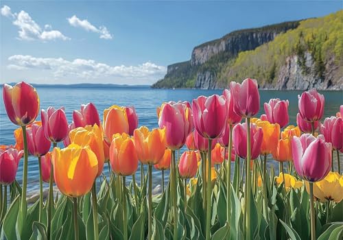 Puzzle 300 Teile Erwachsene Blume 40x28cm,300pcs Klassische Puzzles Am Meer Anspruchsvoll Jigsaw Spielzeug Puzzlespiel Lernspiel Impossible Holzpuzzle Geeignet für alle Altersgruppen Geschenk P-843 Puzzle 300 Teile Erwachsene Blume 40x28cm,300pcs Klassische Puzzles Am Meer Anspruchsvoll Jigsaw Spielzeug Puzzlespiel Lernspiel Impossible Holzpuzzle Geeignet für alle Altersgruppen Geschenk P-843 von Dnnufagg