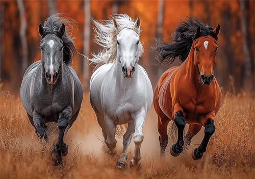 Puzzle 4000 Teile Erwachsene Tiere 141x87cm,4000pcs Klassische Puzzles Landschaft Anspruchsvoll Jigsaw Spielzeug Puzzlespiel Impossible Holzpuzzle Geeignet für alle Altersgruppen Geschenk P-593 Puzzle 4000 Teile Erwachsene Tiere 141x87cm,4000pcs Klassische Puzzles Landschaft Anspruchsvoll Jigsaw Spielzeug Puzzlespiel Impossible Holzpuzzle Geeignet für alle Altersgruppen Geschenk P-593 von Dnnufagg