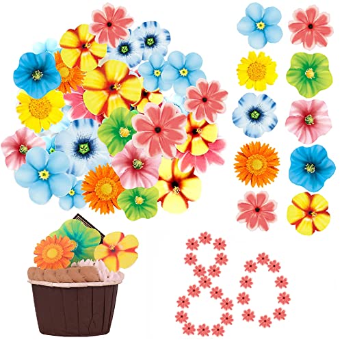 Tortendeko Blumen 80 Stück Blumen für Torte Kuchen Deko Blumen Cupcake Topper Geburtstag Kuchendekoration Blumen Kuchendeko für Hochzeit Geburtstag Baby Dusche Partybedarf Tortendeko Blumen 80 Stück Blumen für Torte Kuchen Deko Blumen Cupcake Topper Geburtstag Kuchendekoration Blumen Kuchendeko für Hochzeit Geburtstag Baby Dusche Partybedarf von Dog's Booty