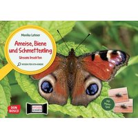 Ameise, Biene und Schmetterling. Unsere Insekten. Kamishibai Bildkarten und Memo-Spiel Ameise, Biene und Schmetterling. Unsere Insekten. Kamishibai Bildkarten und Memo-Spiel von Don Bosco
