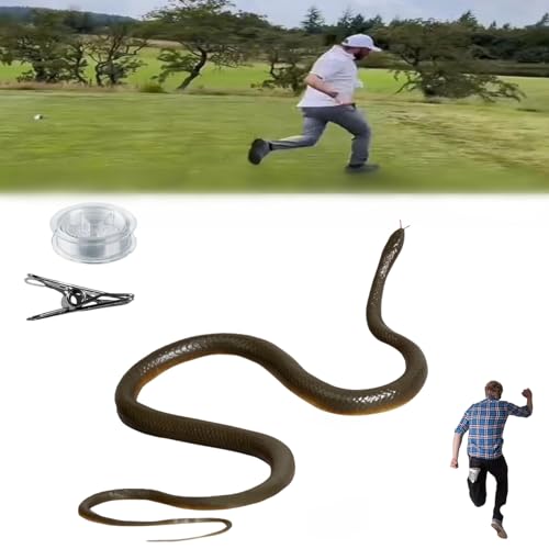 Donubiiu Golf Snake Prank with String and Clip, Snake Prank with String Clip, Clip On Snake Prank for Teasing Friends, Clip On Snake Prank (Grey) von Donubiiu