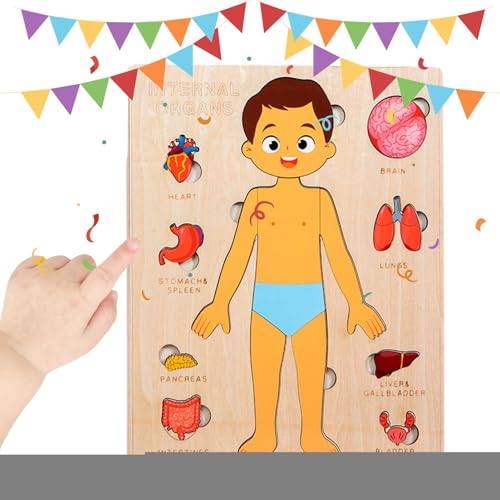 Dopsyesn Körperteile Für Kinder | Pädagogisches Holzpuzzle Vom Menschlichen Körper,Frühpädagogisches Lernspielzeug Für Kinder Und Jugendliche Mädchen Dopsyesn Körperteile Für Kinder | Pädagogisches Holzpuzzle Vom Menschlichen Körper,Frühpädagogisches Lernspielzeug Für Kinder Und Jugendliche Mädchen von Dopsyesn