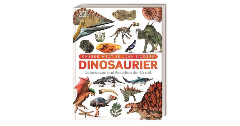 Buch - Dinosaurier von Dorling Kindersley Verlag