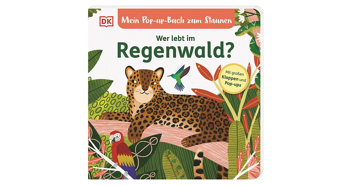 Buch - Mein Pop-up-Buch zum Staunen. Wer lebt im Regenwald? von Dorling Kindersley Verlag
