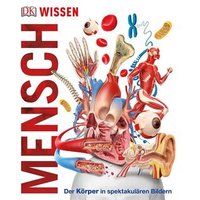 DORLING KINDERSLEY 978-3-8310-3460-4 Wissen - Mensch von Dorling Kindersley