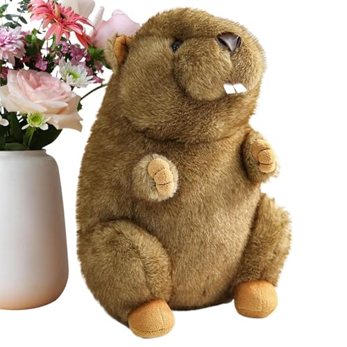 Dottduya Plüschtiere, Kuscheltiere, Hautfreundliche Kissenfigur Kuschelige Puppe Für Kleinkinder Mädchen Kinder Geburtstag Valentinstag Weihnachten von Dottduya