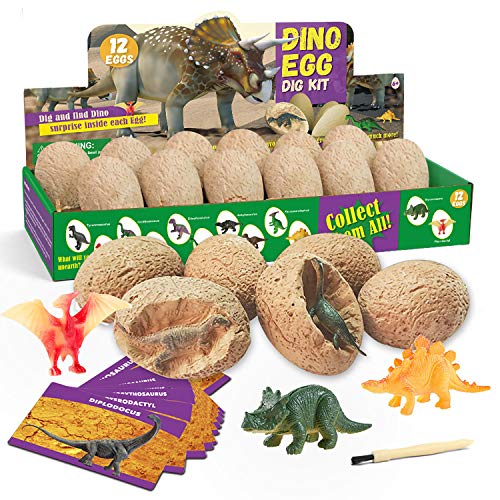 Dinosaurier Egg Toy Ausgraben Dino Ei Spielzeug Party Dinosaur Figuren Braben Kit Ausgrabungsset Archäologie von Dr. Daz