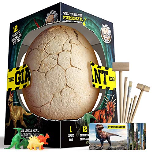 Dr. Daz Dinosaurier Ausgrabung Groß Ei Spielzeug für Kinder Dino Eier Ausgraben Geburtstag Party Set Kindergeburtstag Gastgeschenke Jungen Ab 6 7 8 9 10 Jahre Dr. Daz Dinosaurier Ausgrabung Groß Ei Spielzeug für Kinder Dino Eier Ausgraben Geburtstag Party Set Kindergeburtstag Gastgeschenke Jungen Ab 6 7 8 9 10 Jahre von AWH