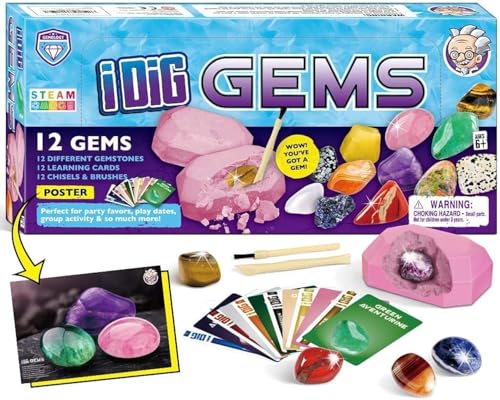 Edelstein Ausgrabungsset für Kinder 12 Mineralien Steine Ausgrabungs Spielzeug Mädchen Archäologie Geburtstagsgeschenk Set von Dr. Daz