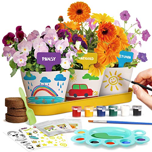 Dr. Daz Malen Garten Anzuchtset Pflanzen Geschenk Kinder Blumen Bonsai Pflanzen Züchten Kinder Set Experimentierkasten Ab 4 5 6 7 8 9 10 Jahre Mädchen von Dr. Daz