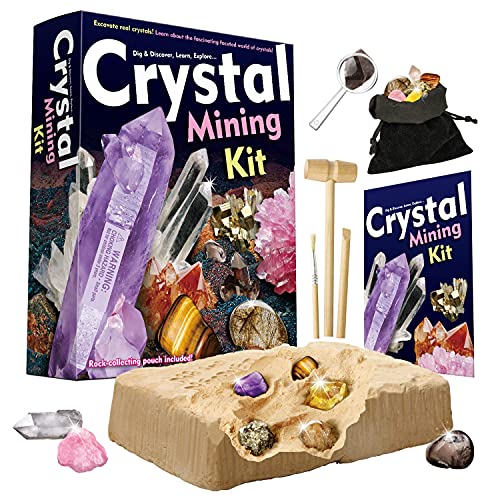 Dr. Daz Mineralien Ausgrabungsset Edelstein Ausgraben Spielzeug Geologie Steine Geburstagsgeschenk für Kinder Dr. Daz Mineralien Ausgrabungsset Edelstein Ausgraben Spielzeug Geologie Steine Geburstagsgeschenk für Kinder von Dr. Daz