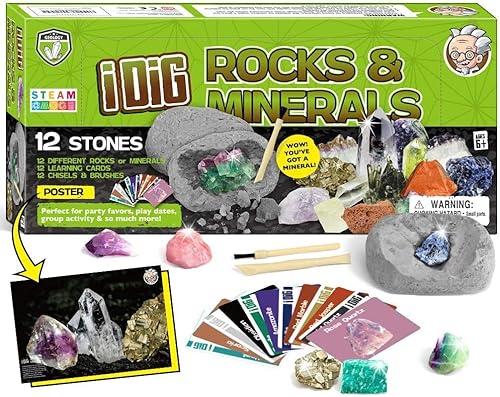 Dr. Daz Mineralien Steine Ausgrabungsset für Kinder Mineralogie Spielzeug Party Braben Kit Archäologie Dr. Daz Mineralien Steine Ausgrabungsset für Kinder Mineralogie Spielzeug Party Braben Kit Archäologie von Dr. Daz