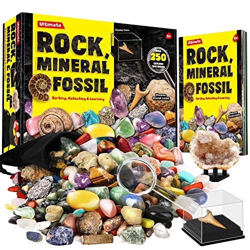 Dr. Daz Rock Fossil Mineral Collection Activity Kit enthält 250+ echte Exemplare, ultimative Vitrine, Fossilien, Edelsteine, Felsen, echte Mineralien für Kinder, tolles wissenschaftliches Geschenk für von Dr. Daz
