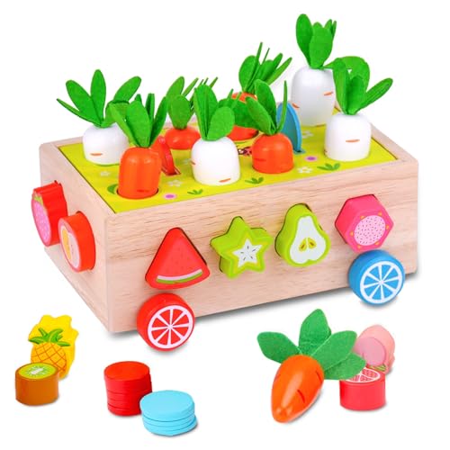 Dr. MUYA® Montessori Spielzeug 1 2 3 Jahre, Montessori Spielzeug ab 1 Jahr, Motorikspielzeug, Steckspiel, Holzspielzeug, Spielzeug ab 1 Jahr, Lernspielzeug, Geschenk 1-3 Jahre Kinder Junge Mädchen von Dr. MUYA