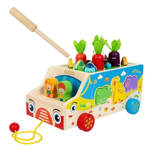 Dr.MUYA® Montessori Spielzeug 1 2 3 Jahre, Angelspiel, Spielzeug ab 1 Jahr, Holzspielzeug, Motorikspielzeug, Lernspiel, Geschenk 1-3 Jahre Kinder Junge Mädchen von Dr. MUYA