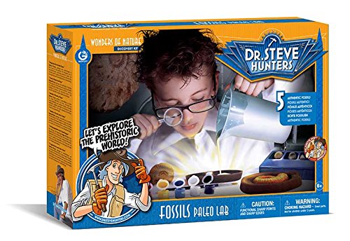 Geoworld 625352 - Dr. Steve Hunters Fossils Paleo Lab, 5 Fossilien, Alter: 6+ von Dr. Steve Hunters